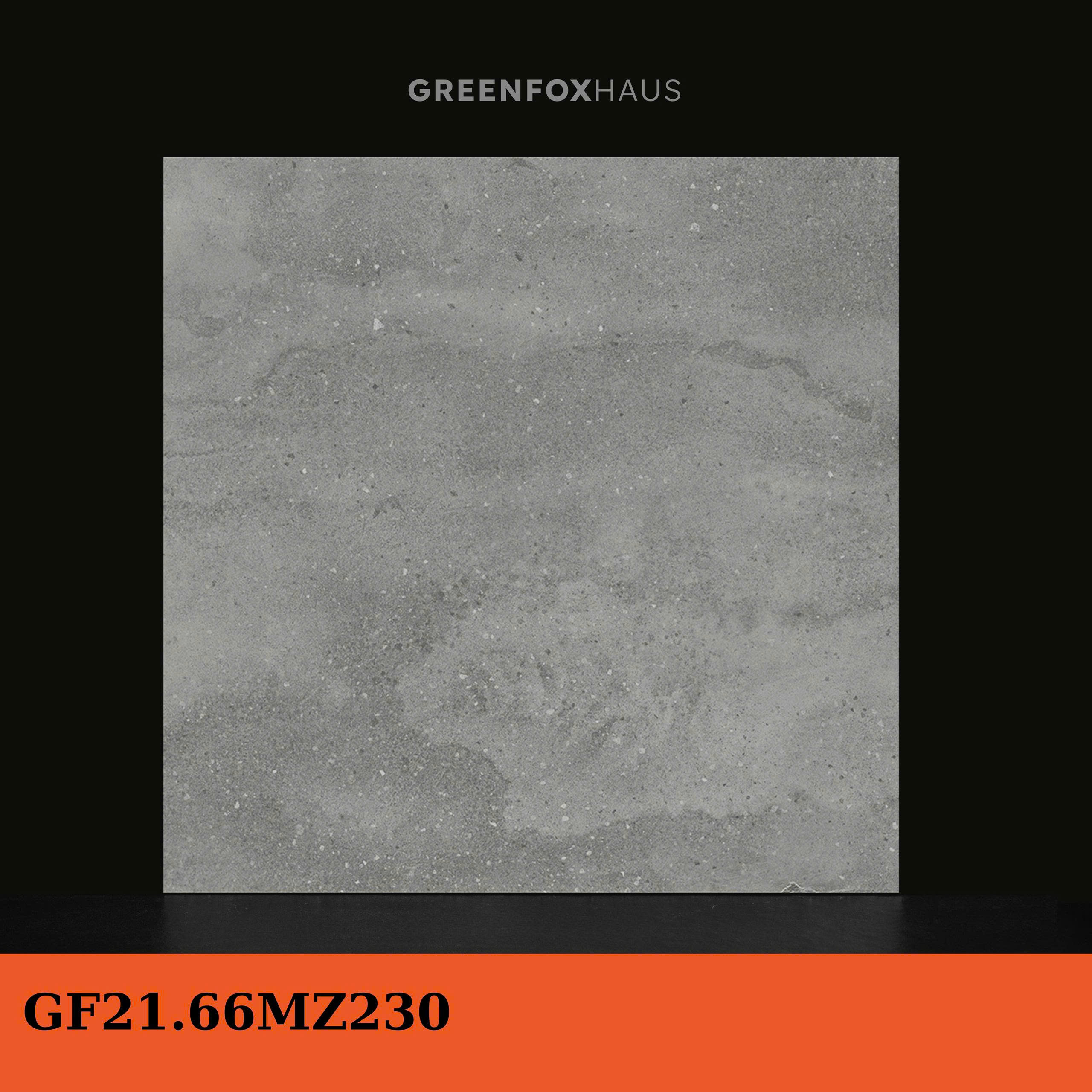 GF21.MZ230