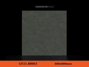 GF21.88065