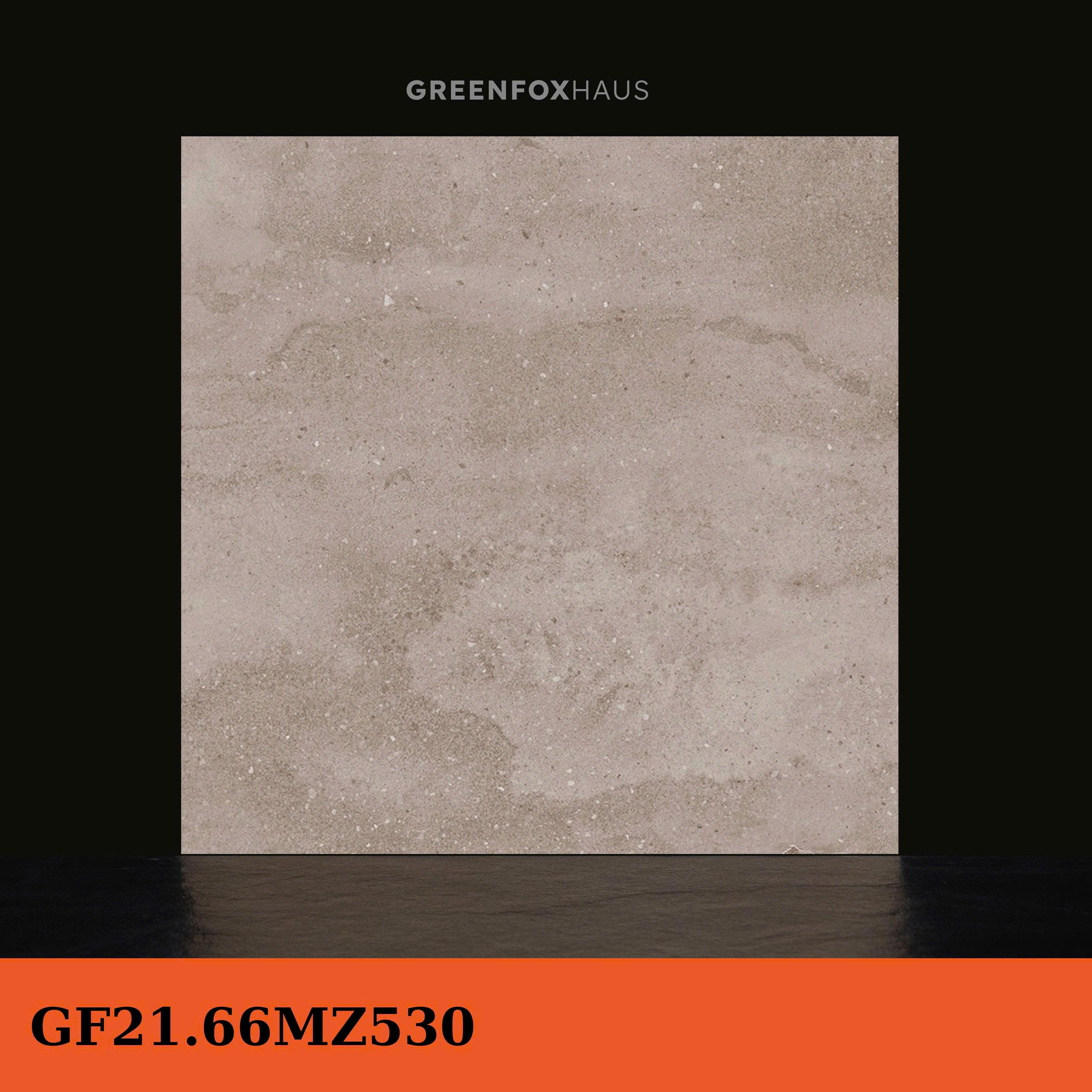 GF21.66MZ530