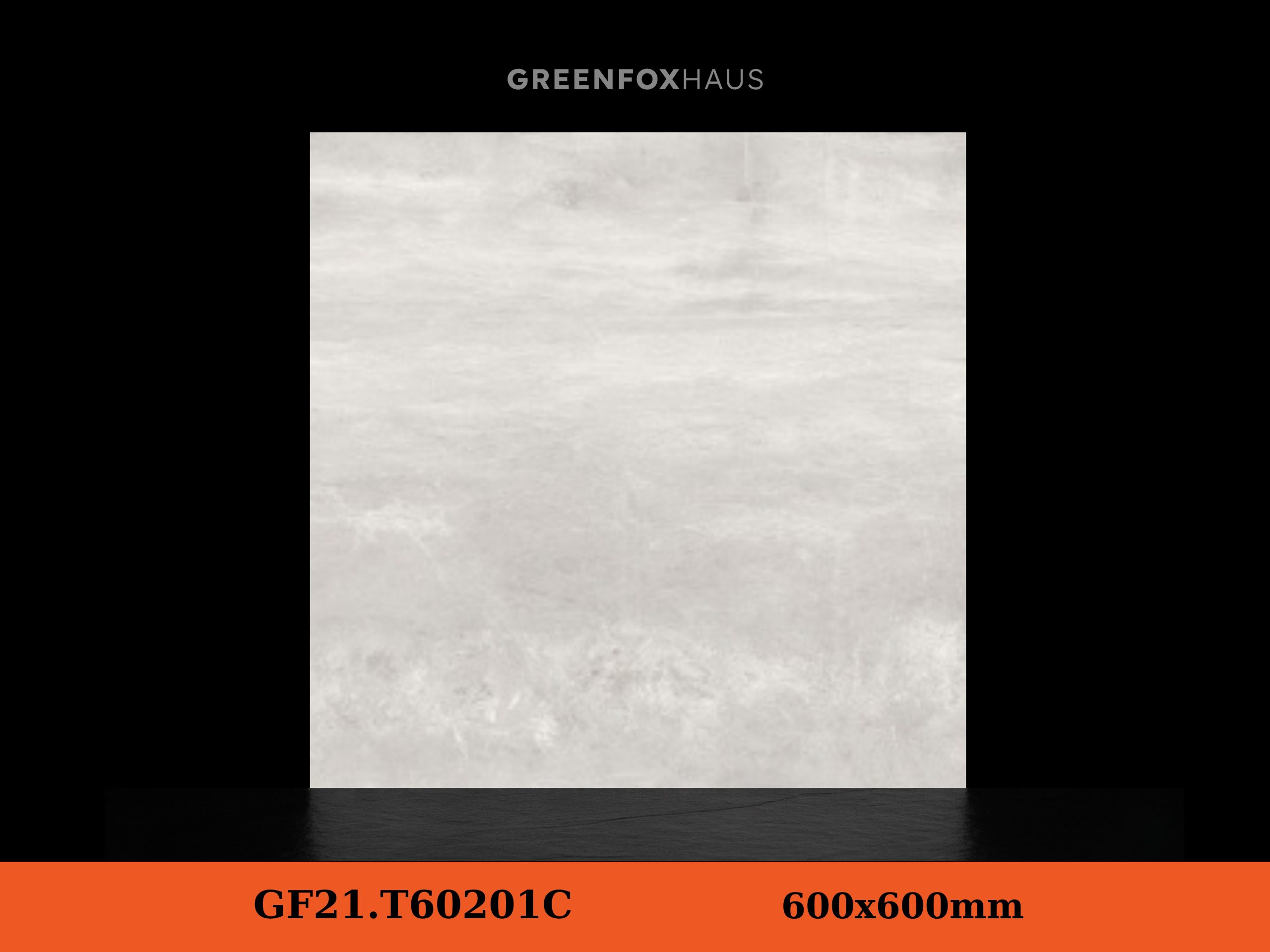 GF21.T60201C