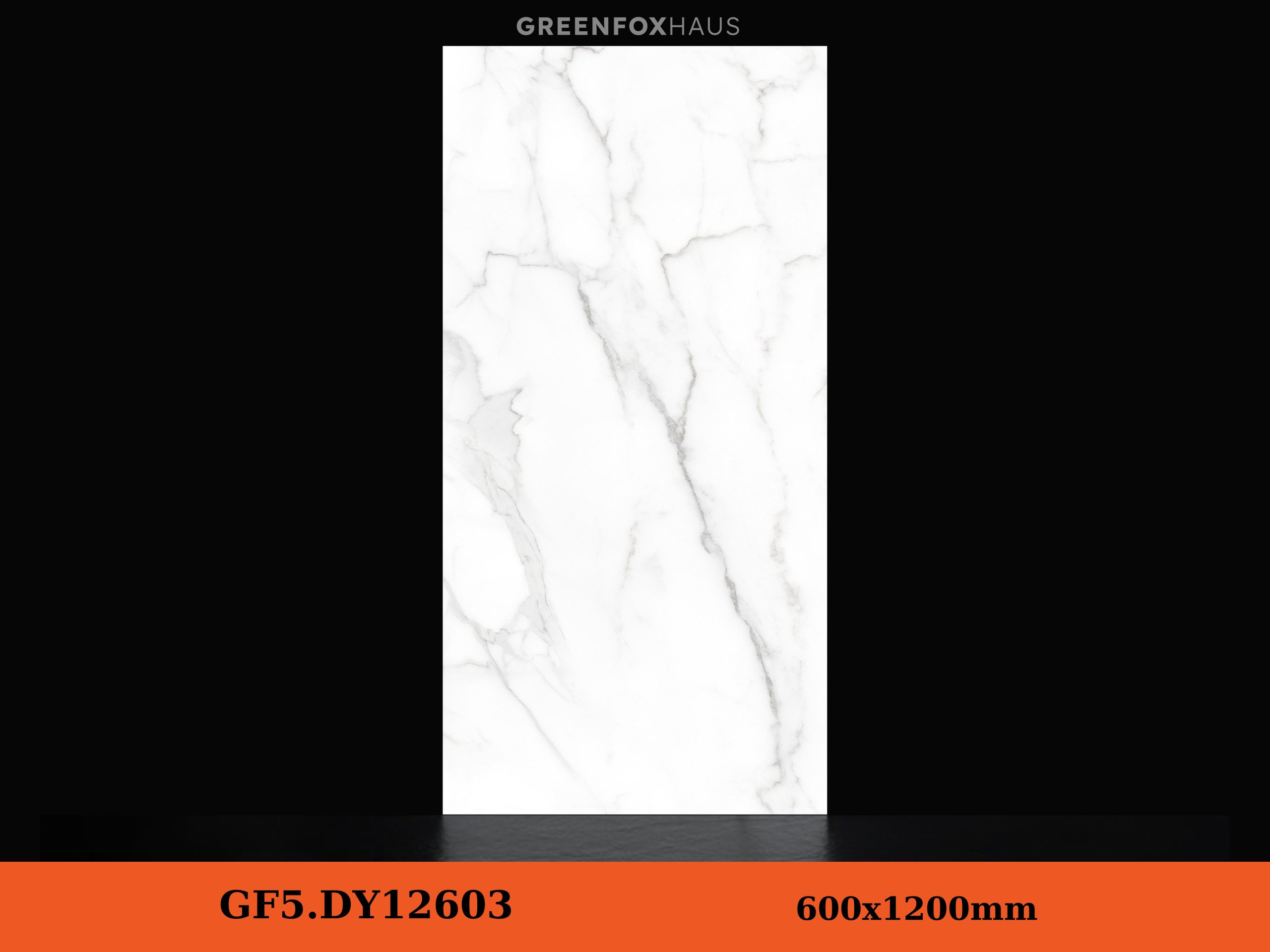 GF5.DY12603