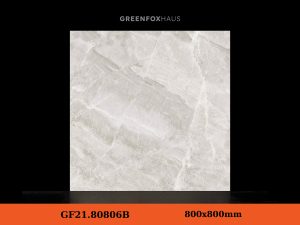 GF21.80806B
