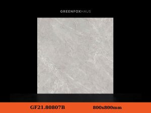 GF21.80807B