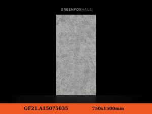 GF21.A15075035