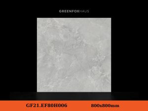 GF21.EF80H006