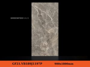GF21.VB189J1197P