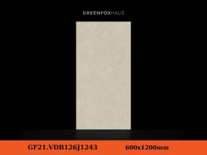 GF21.VDB126J1243