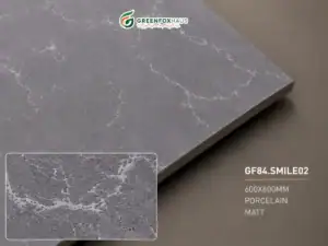 GẠCH ỐP LÁT PORCELAIN MATT VÂN ĐÁ MÀU GHI XÁM GF84.SMILE02 (600×600MM)